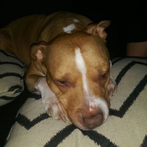 Meet your Posher, Catherine